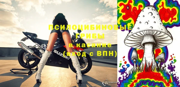 дурь Алексеевка