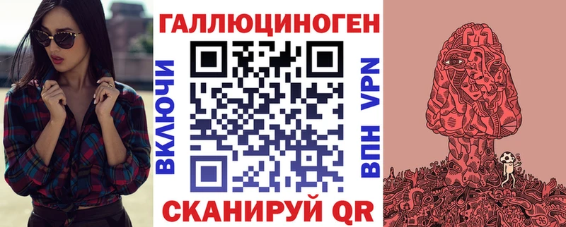 Псилоцибиновые грибы Psilocybe Вилючинск